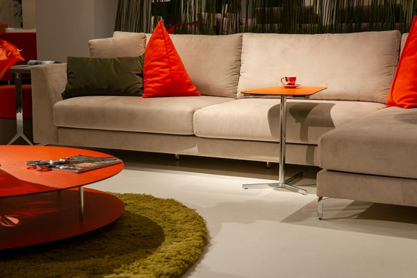 Feng-Shui : Votre Guide Pratique pour Créer un Intérieur Harmonieux et Équilibré